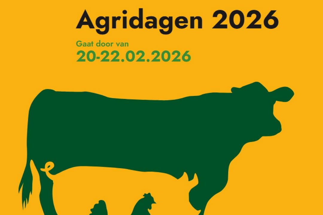 Antens BV & Rijsbosch BV